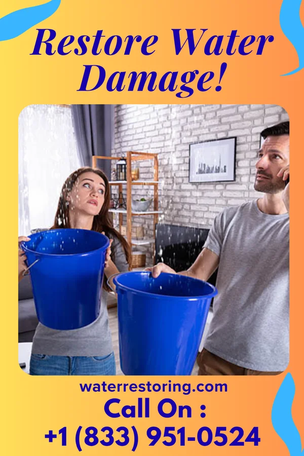 water restoration Atlas Water Damage Pros Honokaa